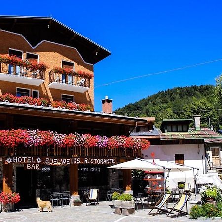 Hotel Edelweiss Limone Piemonte Buitenkant foto